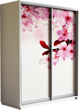 Шкаф-купе двухдверный «Экспресс Дуо» Фото Сакура, высота 220 см
