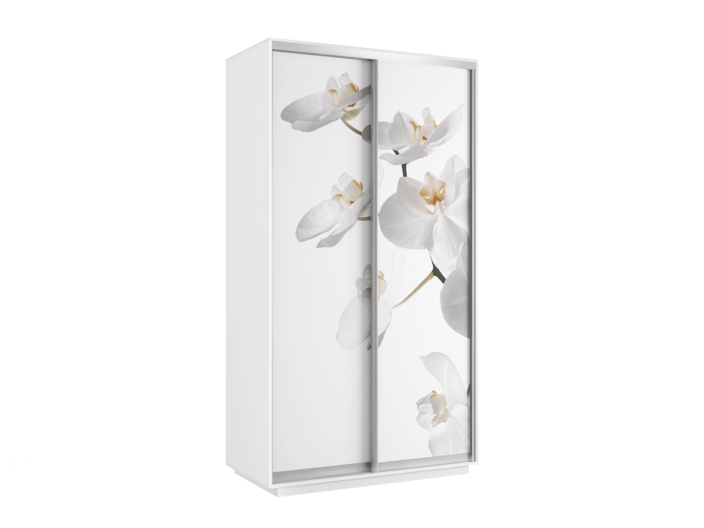 Шкаф-купе «Экспресс Хит» Фотопечать Орхидея, 220х120х60 см