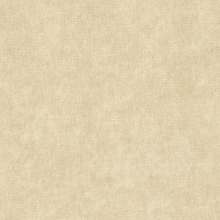 Кресло-кровать «Сильва» 0.8, спальное место 205х80 см