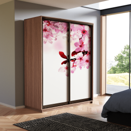 Шкаф-купе двухдверный «Экспресс Дуо» 2400 Фото Сакура, высота 240 см