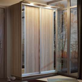 Шкаф-купе 1,6м «Лео» Лайт