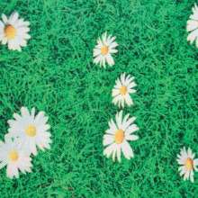 Детское кресло «Логика» 3