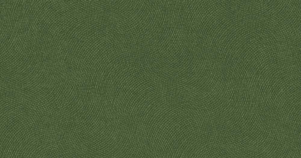 Диван-кровать «Лавли» ТД 286 Мазерати 13 лиственный зеленый