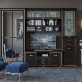 Гостиная «Эйми 5» Венге патина/Серебро