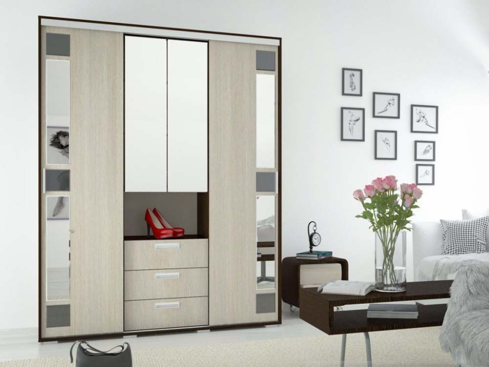 Шкаф-купе «Маэстро» 3