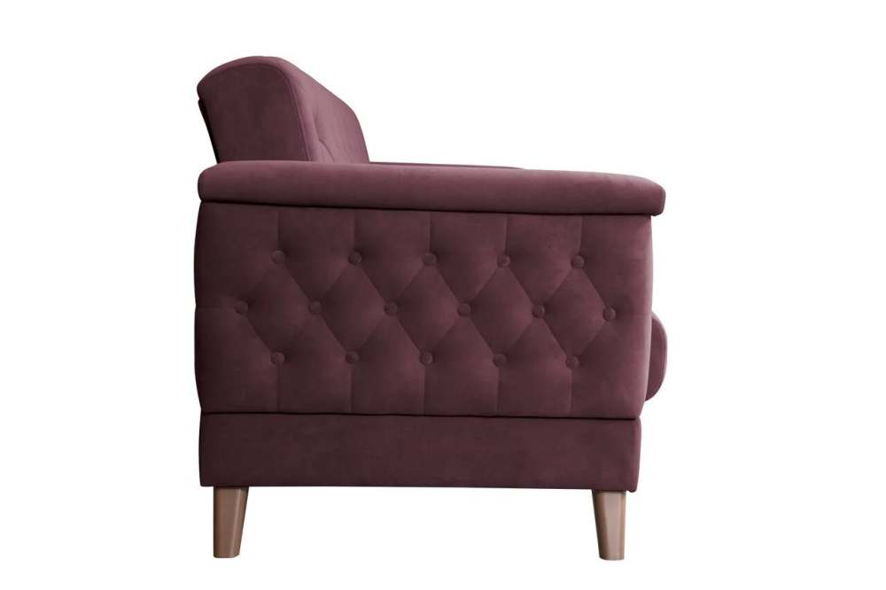 Диван-кровать «Амарант» Велюр катания плюм