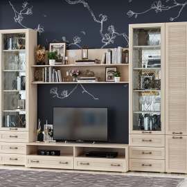 Гостиная «Инесса» Дуб белёный Вариант 3