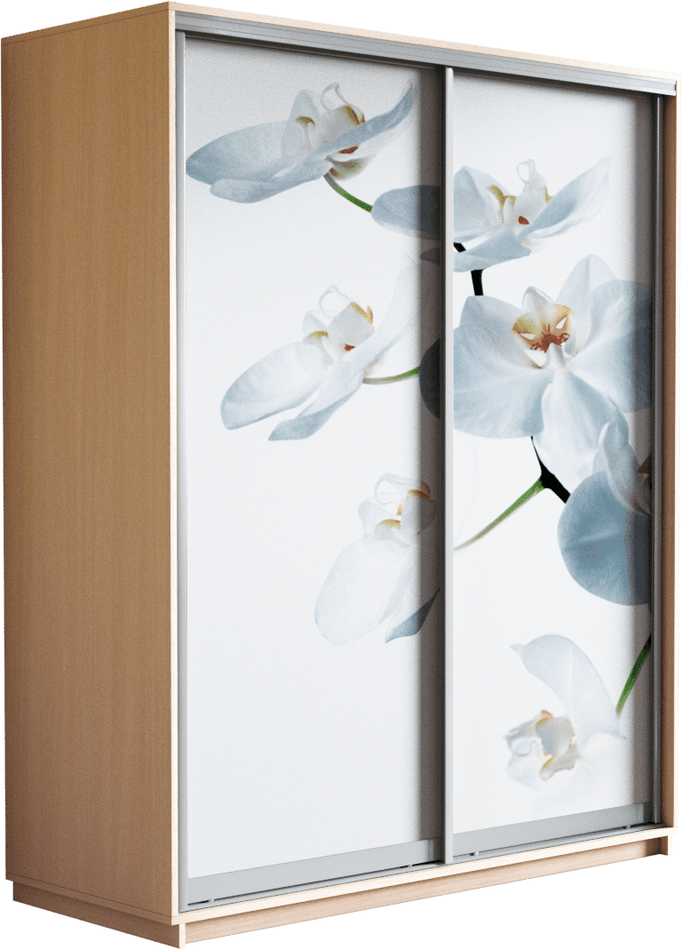 Орхидея белая/Дуб молочный