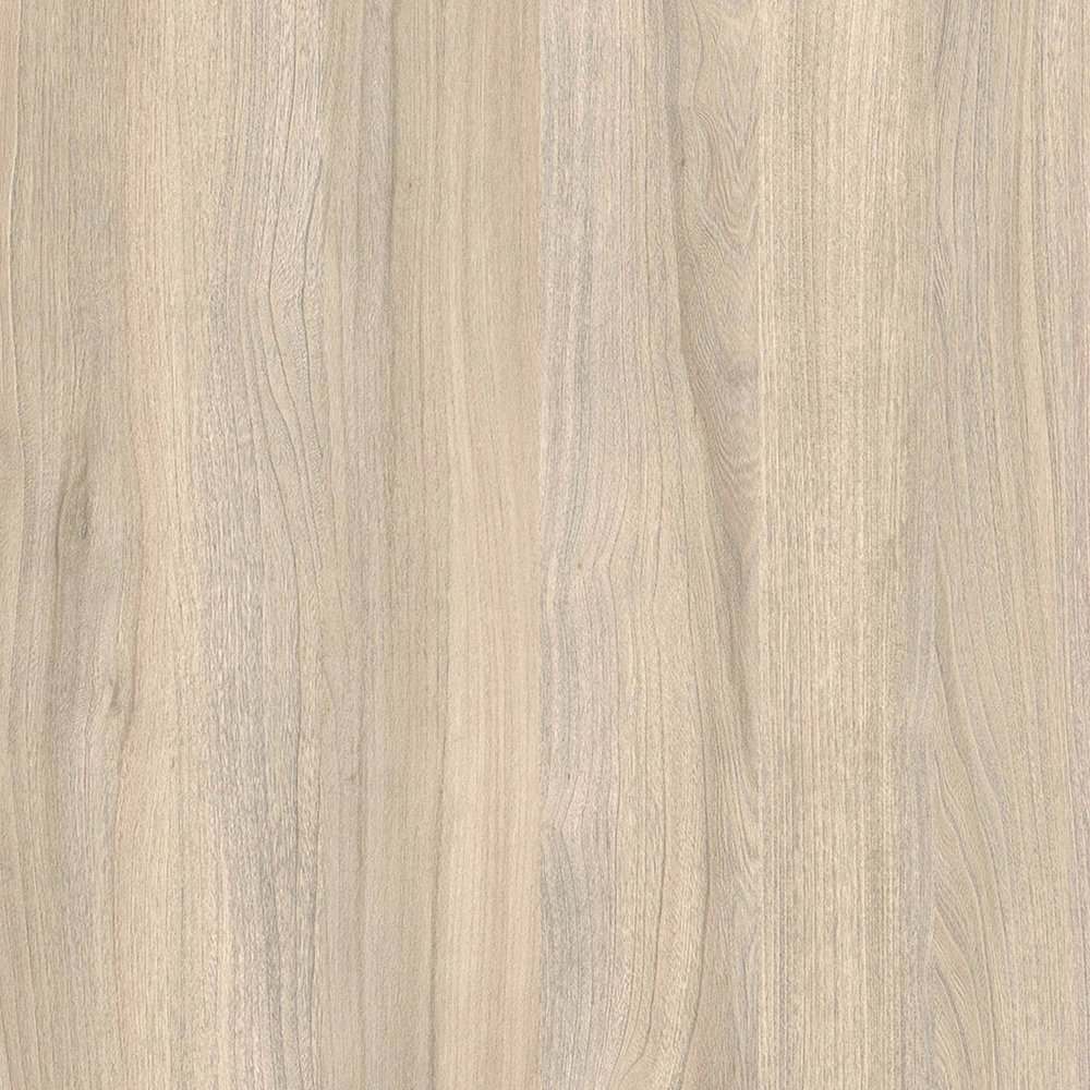 Вяз либерти светлый