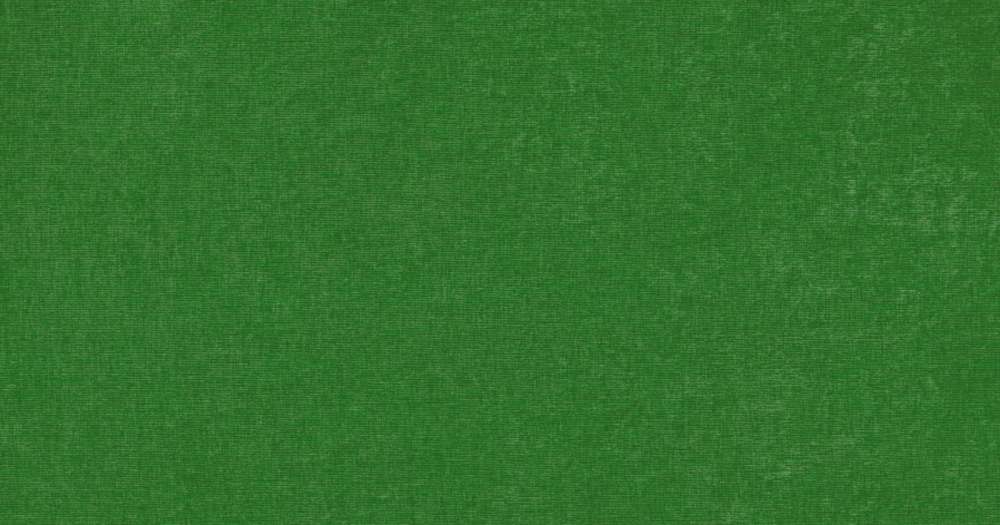 Вельвет Люкс 77 хвойный зеленый