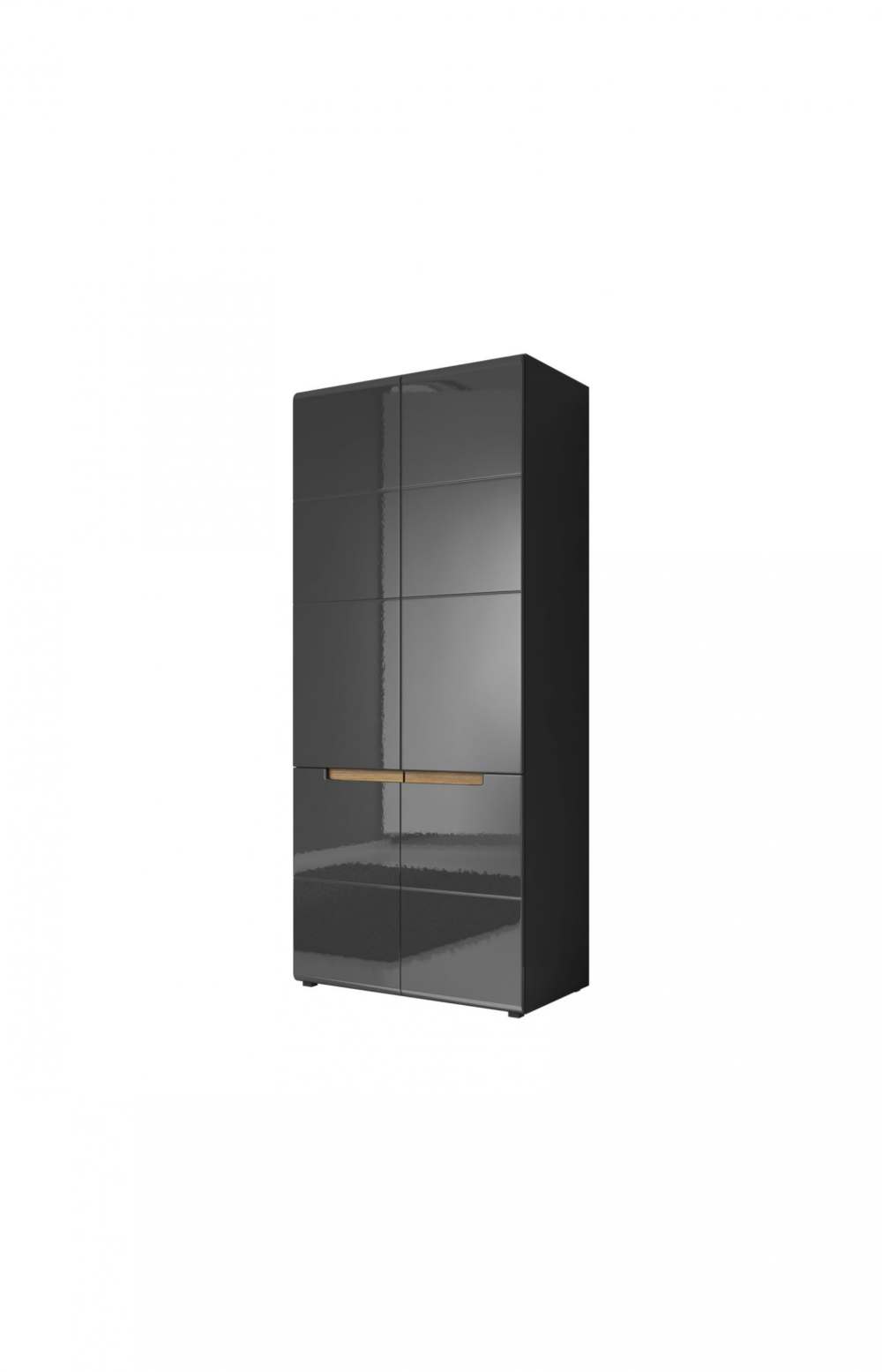 Шкаф «Hektor» 2D 24Z2AJ typ 18 Антрацит/Антрацит глянец