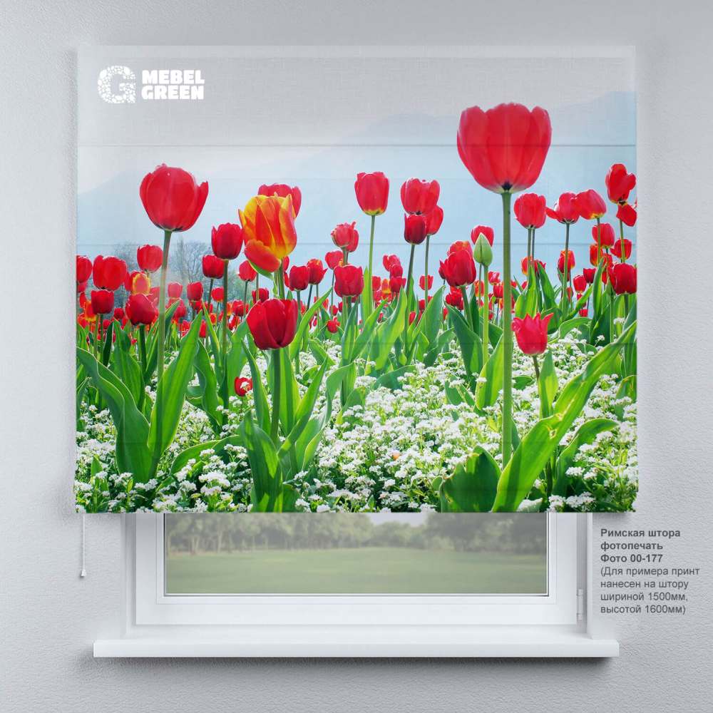 Римская штора для проёма с фотопечатью «00-177»