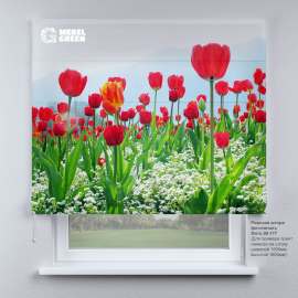 Римская штора для проёма с фотопечатью «00-177»