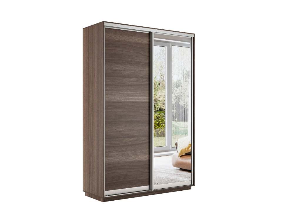 Шкаф-купе «Экспресс Дуо» Медиум ДСП/Зеркало Ясень Шимо темный
