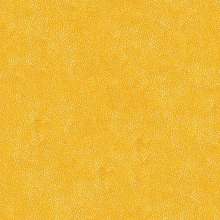 Кресло-кровать «Сильва» 0.8, спальное место 205х80 см