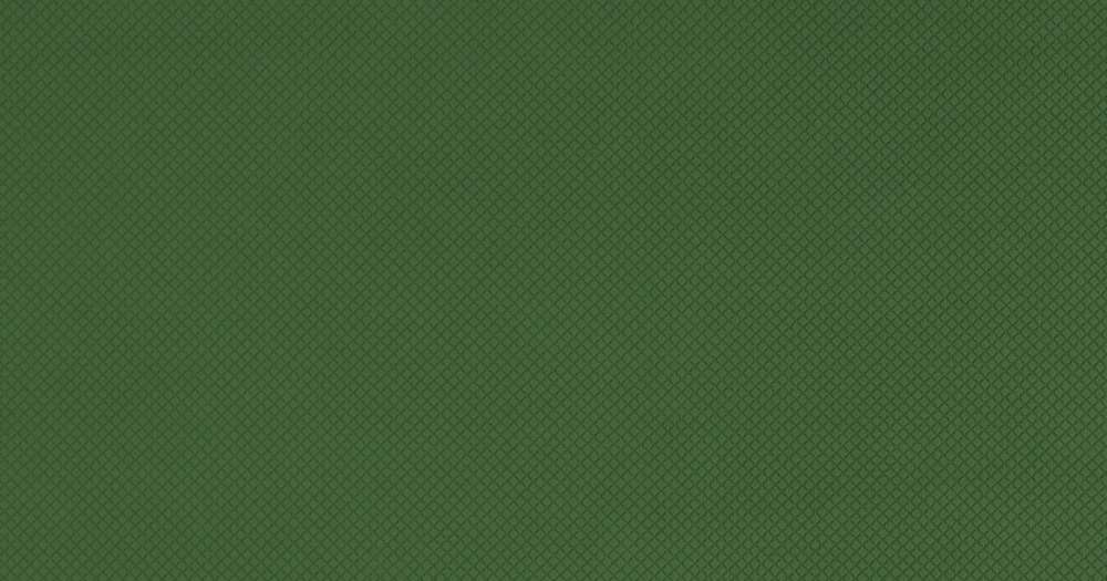 Диван «Иветта» ТД 356 Аватар 657 лиственный зеленый