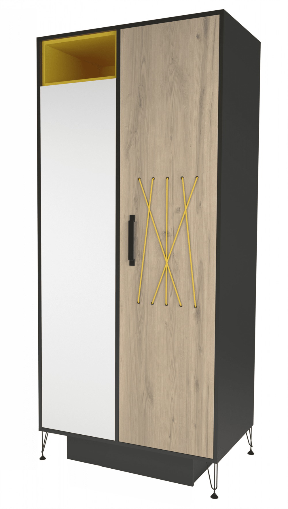 Шкаф двухстворчатый Молодежный «Александрия» модуль 22