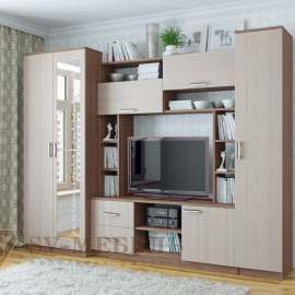 Гостиная «Гамма-16» Ясень шимо