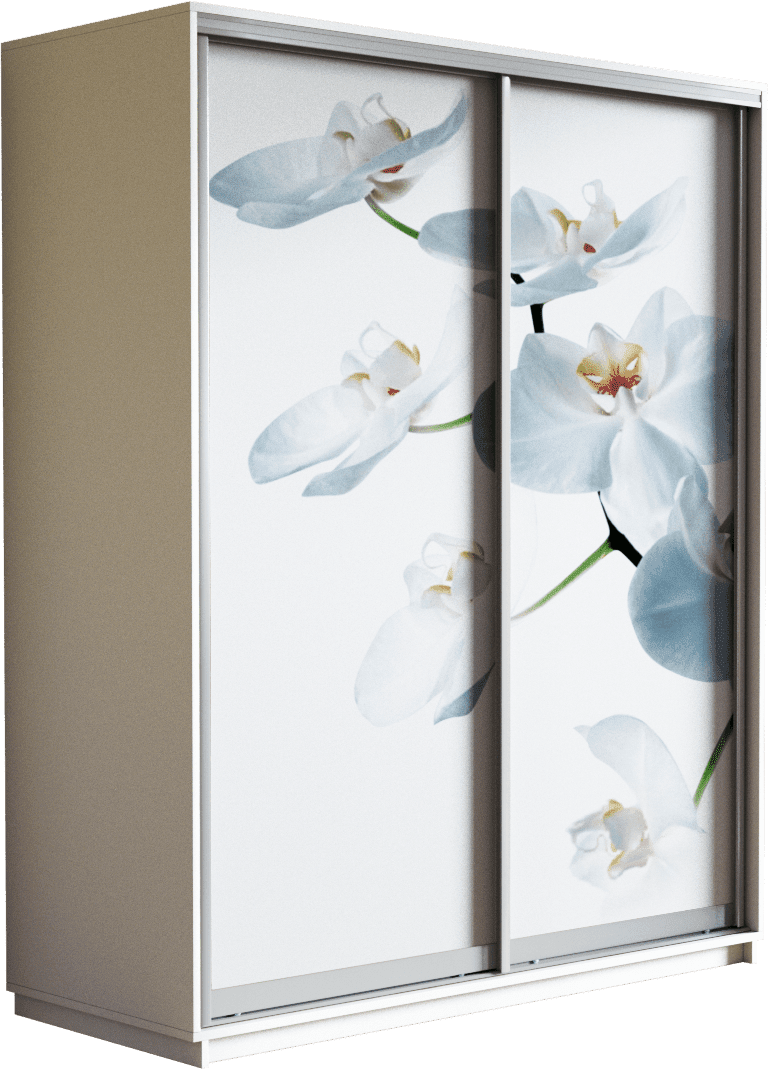 Шкаф-купе двухдверный «Экспресс Дуо» Фото Орхидея белая, высота 220 см