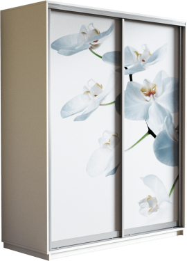 Шкаф-купе двухдверный «Экспресс Дуо» Фото Орхидея белая, высота 220 см