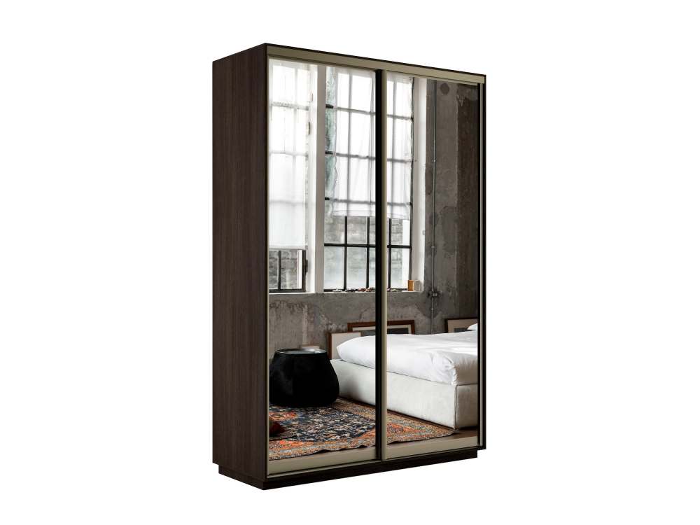 Шкаф-купе «Экспресс Дуо» Экспенс Венге